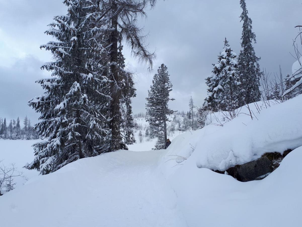 Apartmán v Starej Lesnej s balkónom Stara Lesna Exterior foto